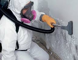 Why You Should Choose Our Mold Remediation Services in Lemont Furnace, PA